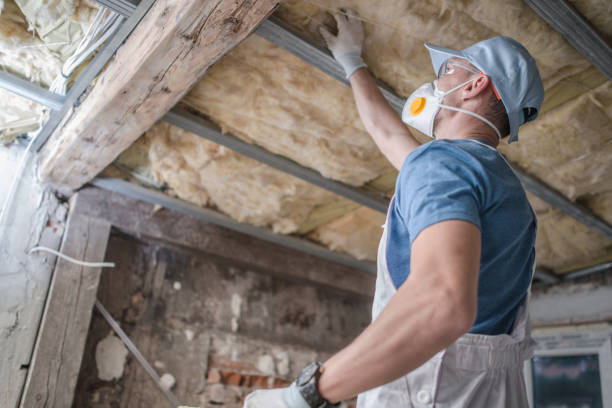 Best Cellulose Insulation in Labelle, FL